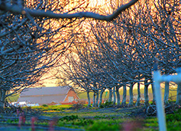 网页攻击器教程